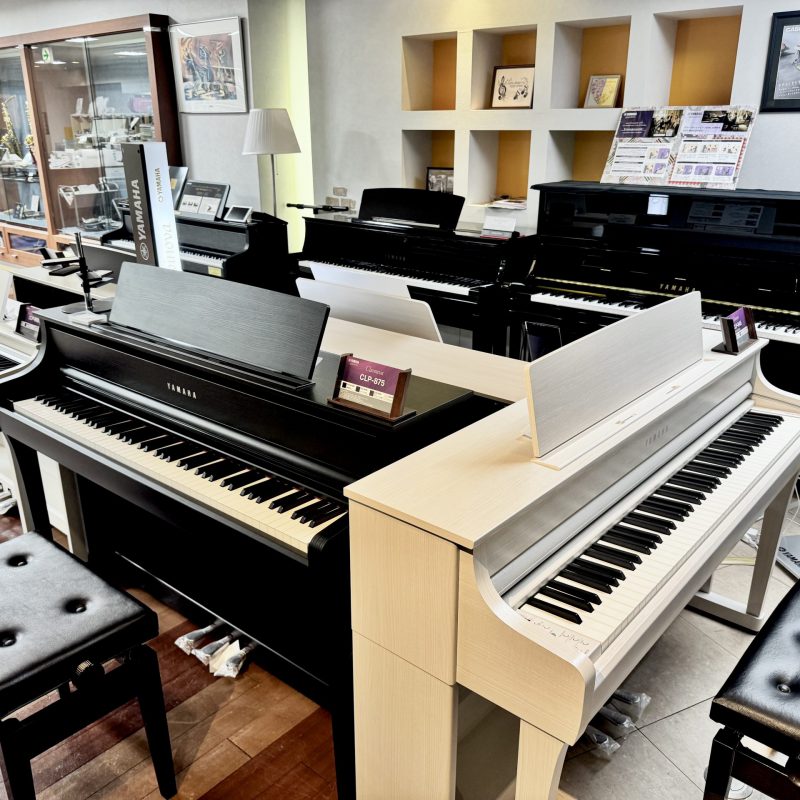 本店DP写真 本店DP写真