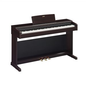 YDP-145R YDP-145R